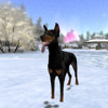 Second Life profile photo