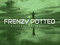 FRENZY POTTED AUCTIONS AND MARKET FRENZY POTTED AUCTIONS AND MARKET
