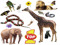 TOP 1 - Animals