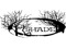 ::::::::SHADE DESIGNER::::::::