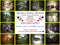 Skybox Select Rental