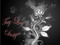 *Tay-Lay-Designs* *Tay-Lay-Designs*