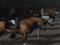 My First dressage event
