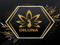 Diluna