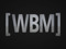 WILLIS BAILEY MOTORSPORTS