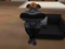 my Furry look! my Furry look!