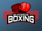 G-Force Boxing System