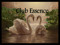 .::::Club Essence:::. .::::Club Essence:::.