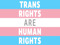 ️Trans Rights!