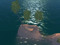 Sunrise Islands Waterway