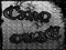 .::CINQ ONZE::. **Update Group** .::CINQ ONZE::. **Update Group**