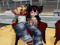! ♥ 3. Rena ♥ !