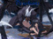 % Denchious Info!