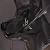 Second Life profile photo
