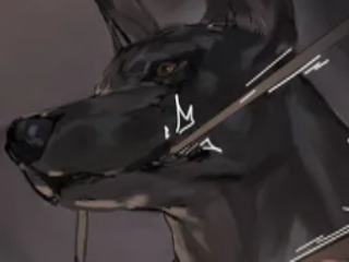 Second Life profile photo (full)