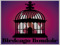 Birdcage Boudoir