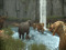 6. Safari Park