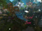 Forest Of Mystical Dreams (Now Streaming Live on KICK ) Forest Of Mystical Dreams (Now Streaming Live on KICK )