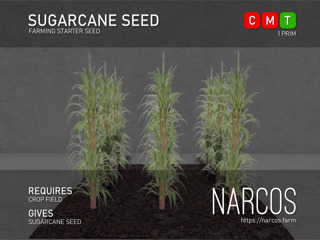 [Narcos] Sugarcane Seed (REZ)