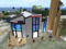!  SculptyWorks at Celerio  !  Low Prim Sculpties