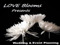 LOVE Blooms Presents Event Planning LOVE Blooms Presents Event Planning