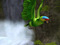 Parrot - Roleplay and limits