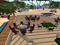 Serenity Estates Games