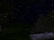 Feral Sacred Grove