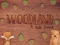 .Woodland. Kids Event .Woodland. Kids Event