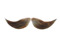 Mustache Crew