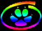 DJ FoxyBlue