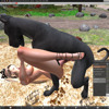 Second Life profile photo