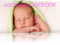 Agencia de adopcion "The moon" Agencia de adopcion "The moon"