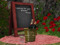 Garden Grooves Garden Grooves