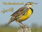 The MeadowLark