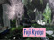 ☸ڿڰۣ- Fυjι Kчokα ☸ڿڰۣ-