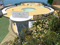 Deaf Community in Second Life Deaf Community in Second Life