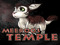 Meeroos Temple ADV