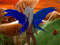 ~SL WEB COMICs~ ~SL WEB COMICs~