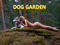 Dog Sex Garden