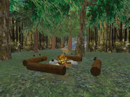 parcel image