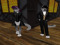 SNEP pack