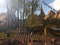 Arena fun! Arena fun!