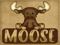 {:Moose:} Bloggers