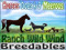 Ranch Wild Wind