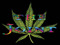 ......The Joint...... ......The Joint......