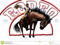 Crazy Bill Wild West Show & Rodeo