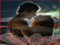 INTIMATE ROMANCE GARDEN