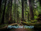 Mirkwood Hooligans