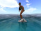 SURF REPUBLIC